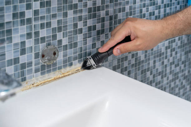Best Mold Removal and Inspection  in Hale Center, TX