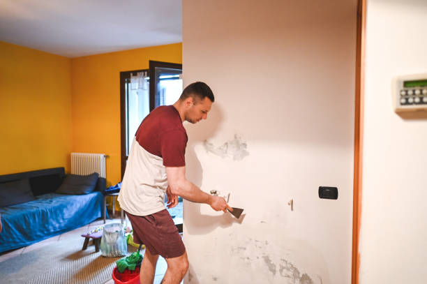 Trusted Hale Center, TX Mold Removal Experts
